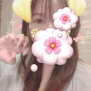 ヒメ日記 2025/10/29 19:14 投稿 はる 重役室(道後)