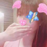 ヒメ日記 2025/11/19 20:21 投稿 はる 重役室(道後)