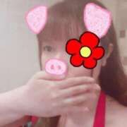 ヒメ日記 2025/11/21 10:33 投稿 はる 重役室(道後)