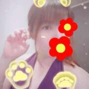 ヒメ日記 2025/11/26 20:19 投稿 はる 重役室(道後)