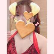 ヒメ日記 2025/11/26 20:37 投稿 はる 重役室(道後)