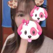 ヒメ日記 2026/01/29 09:00 投稿 はる 重役室(道後)