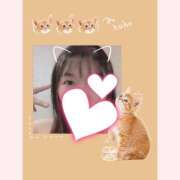 ヒメ日記 2026/02/03 19:38 投稿 はる 重役室(道後)