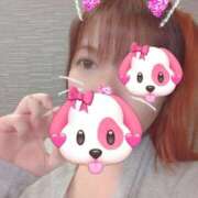 ヒメ日記 2026/03/01 13:12 投稿 はる 重役室(道後)