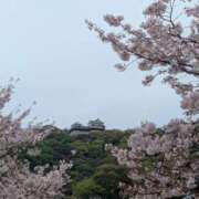 ヒメ日記 2026/04/09 11:00 投稿 はる 重役室(道後)