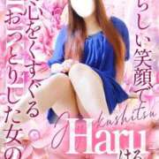 ヒメ日記 2026/04/11 09:48 投稿 はる 重役室(道後)