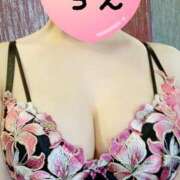 ヒメ日記 2024/12/23 13:40 投稿 ちえ 重役室(道後)