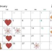 ヒメ日記 2025/01/17 08:08 投稿 ちえ 重役室(道後)