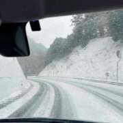 ヒメ日記 2025/02/07 06:30 投稿 ちえ 重役室(道後)