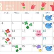 ヒメ日記 2025/02/27 20:22 投稿 ちえ 重役室(道後)