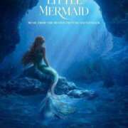 ヒメ日記 2025/03/22 19:42 投稿 ちえ 重役室(道後)