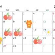 ヒメ日記 2025/03/26 14:58 投稿 ちえ 重役室(道後)