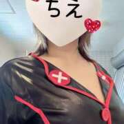 ヒメ日記 2025/03/31 09:04 投稿 ちえ 重役室(道後)