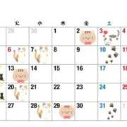 ヒメ日記 2025/04/29 07:01 投稿 ちえ 重役室(道後)