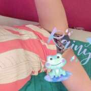 ヒメ日記 2025/06/09 10:44 投稿 ちえ 重役室(道後)