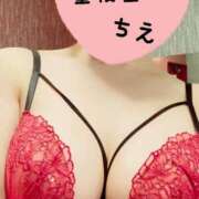 ヒメ日記 2025/08/09 07:13 投稿 ちえ 重役室(道後)