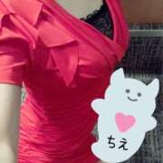 ヒメ日記 2025/09/14 10:41 投稿 ちえ 重役室(道後)