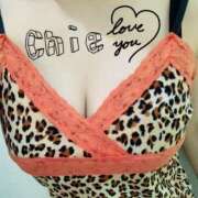 ヒメ日記 2025/10/03 22:30 投稿 ちえ 重役室(道後)