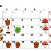 ヒメ日記 2025/10/26 15:30 投稿 ちえ 重役室(道後)