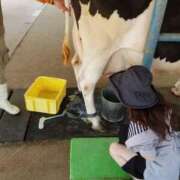 ヒメ日記 2025/10/30 14:00 投稿 ちえ 重役室(道後)