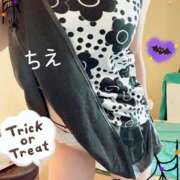 ヒメ日記 2025/10/31 07:01 投稿 ちえ 重役室(道後)