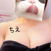 ヒメ日記 2025/10/31 13:01 投稿 ちえ 重役室(道後)