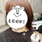 ヒメ日記 2025/11/10 10:44 投稿 ちえ 重役室(道後)