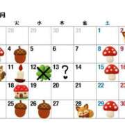 ヒメ日記 2025/11/11 08:08 投稿 ちえ 重役室(道後)