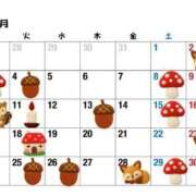 ヒメ日記 2025/11/12 08:00 投稿 ちえ 重役室(道後)