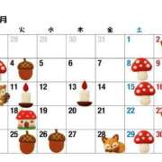 ヒメ日記 2025/11/13 06:56 投稿 ちえ 重役室(道後)