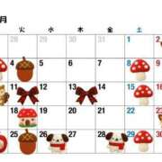 ヒメ日記 2025/11/23 11:04 投稿 ちえ 重役室(道後)