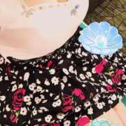 ヒメ日記 2025/11/29 13:26 投稿 ちえ 重役室(道後)