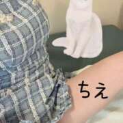 ヒメ日記 2026/02/02 18:22 投稿 ちえ 重役室(道後)