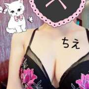 ヒメ日記 2026/02/10 10:30 投稿 ちえ 重役室(道後)