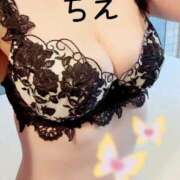 ヒメ日記 2026/02/12 10:43 投稿 ちえ 重役室(道後)