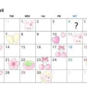 ヒメ日記 2026/03/25 14:42 投稿 ちえ 重役室(道後)