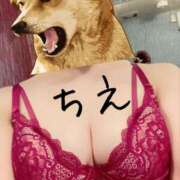 ヒメ日記 2026/06/13 13:14 投稿 ちえ 重役室(道後)