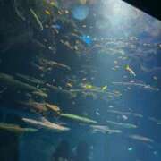 ヒメ日記 2025/05/10 23:44 投稿 レナ AMOUR（アムール）