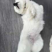 ヒメ日記 2025/06/01 23:53 投稿 レナ AMOUR（アムール）