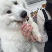 ヒメ日記 2025/06/20 14:30 投稿 レナ AMOUR（アムール）