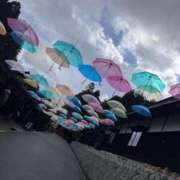 ヒメ日記 2025/11/21 16:01 投稿 レナ AMOUR（アムール）