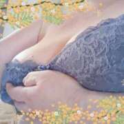 ヒメ日記 2024/12/21 11:14 投稿 村田恵 五十路マダム静岡店（カサブランカG）