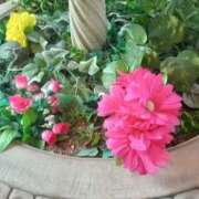 れおな 心も体もリラックスして全部まかせて💕 人妻倶楽部内緒の関係 柏店