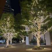 ヒメ日記 2026/03/10 19:34 投稿 れおな 人妻倶楽部内緒の関係 柏店