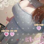 ヒメ日記 2025/04/18 20:37 投稿 まつり 激安ソープの殿堂　ボイン・ホーテ