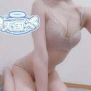 ヒメ日記 2025/06/04 19:10 投稿 しずく S級鑑定団