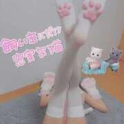 ヒメ日記 2025/06/07 15:40 投稿 しずく S級鑑定団