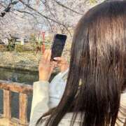 ヒメ日記 2025/04/11 14:05 投稿 ゆいな アラモード