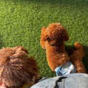 ヒメ日記 2025/08/30 17:29 投稿 ゆいな アラモード