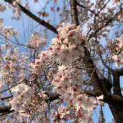 ゆいな 🩶明日から アラモード